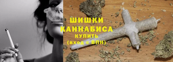сатива Арсеньев