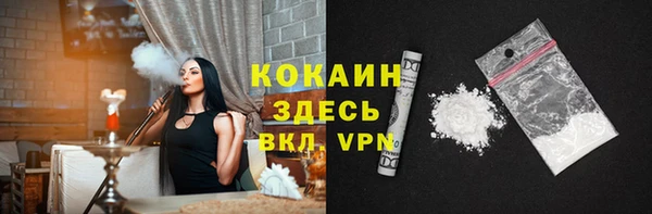 сатива Арсеньев