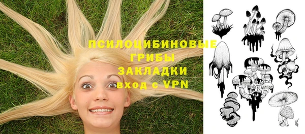 мескалин Алексин