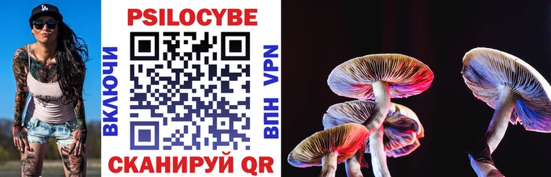 сколько стоит  Пустошка  Псилоцибиновые грибы Psilocybine cubensis 